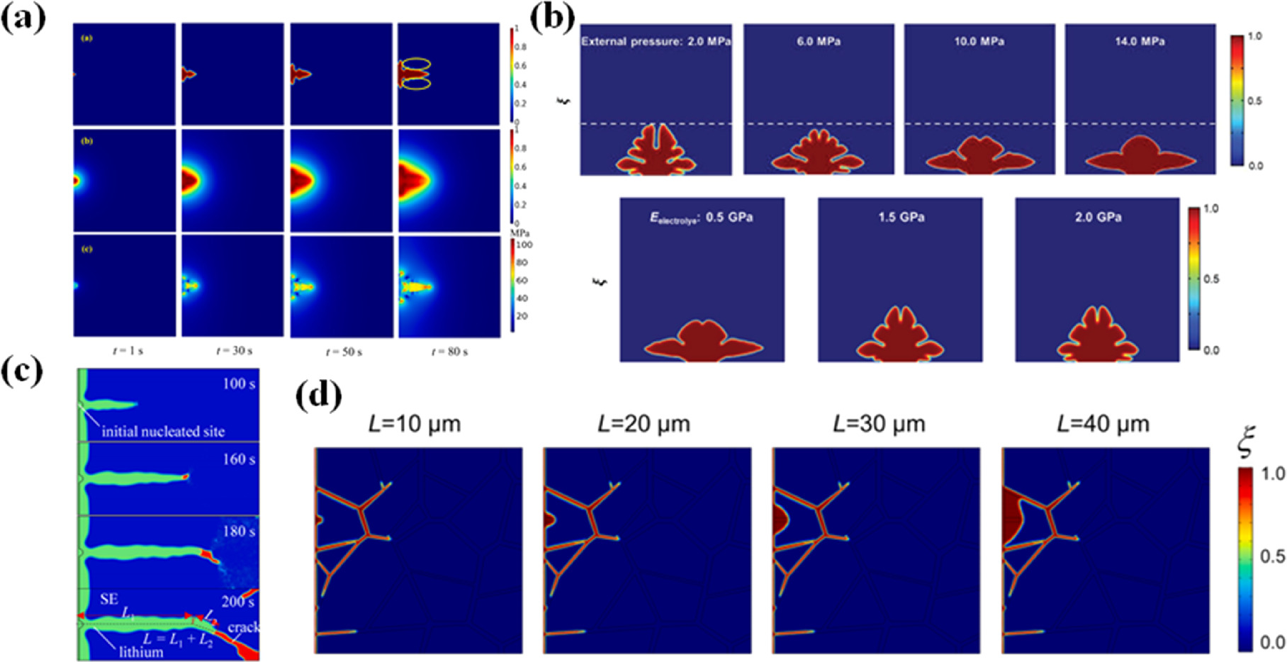 Phase Field Simulation for Dendrite Growth in Energy Storage
