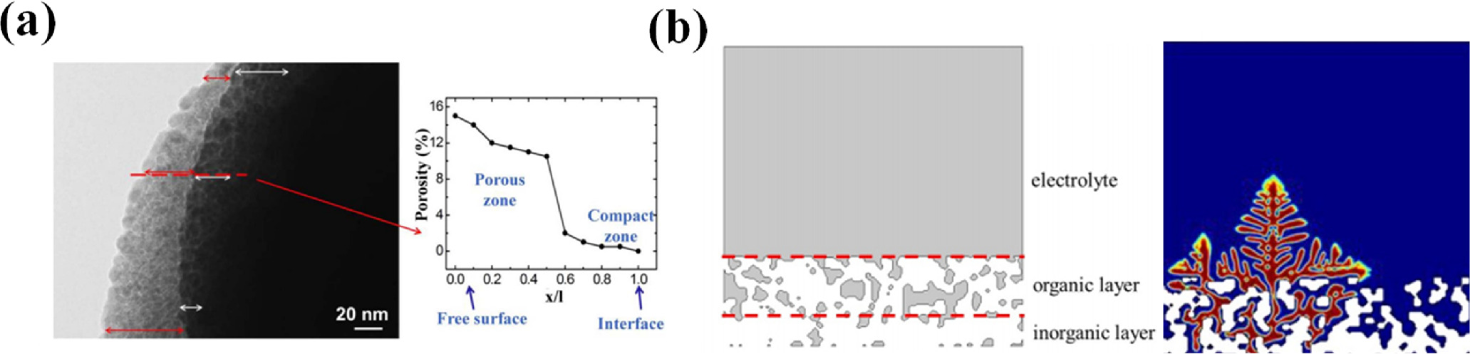 Phase Field Simulation for Dendrite Growth in Energy Storage Batteries ...