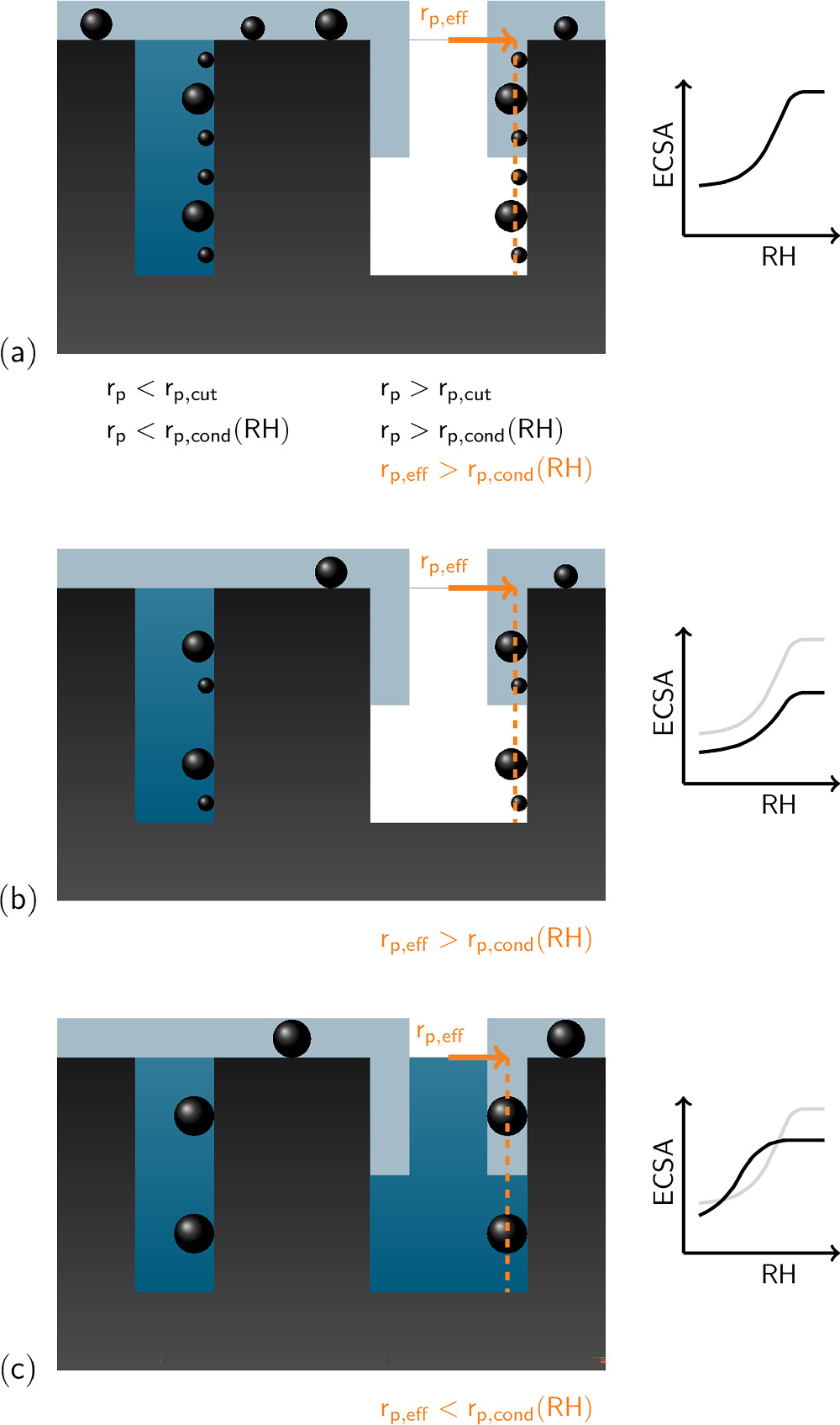 Simulating Morphology and Degradation of PEMFC Cathode Catalyst Layers ...
