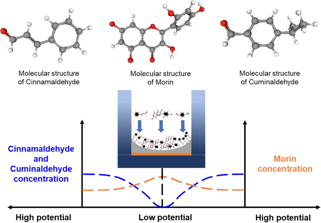Synergistic Regulation of Sn-Ag Bump Electrodeposition Using Ternary ...