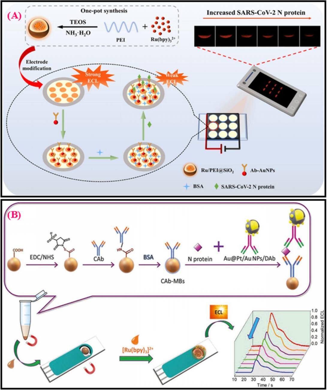 Unveiling Transformation from Electrochemical Biosensors to Commercial  Point-of-Care Devices: A Case Study for SARS-CoV-2 - IOPscience