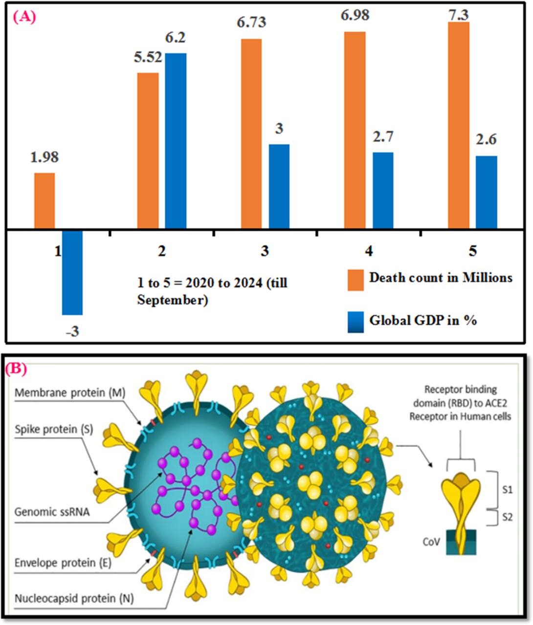 Unveiling Transformation from Electrochemical Biosensors to Commercial  Point-of-Care Devices: A Case Study for SARS-CoV-2 - IOPscience