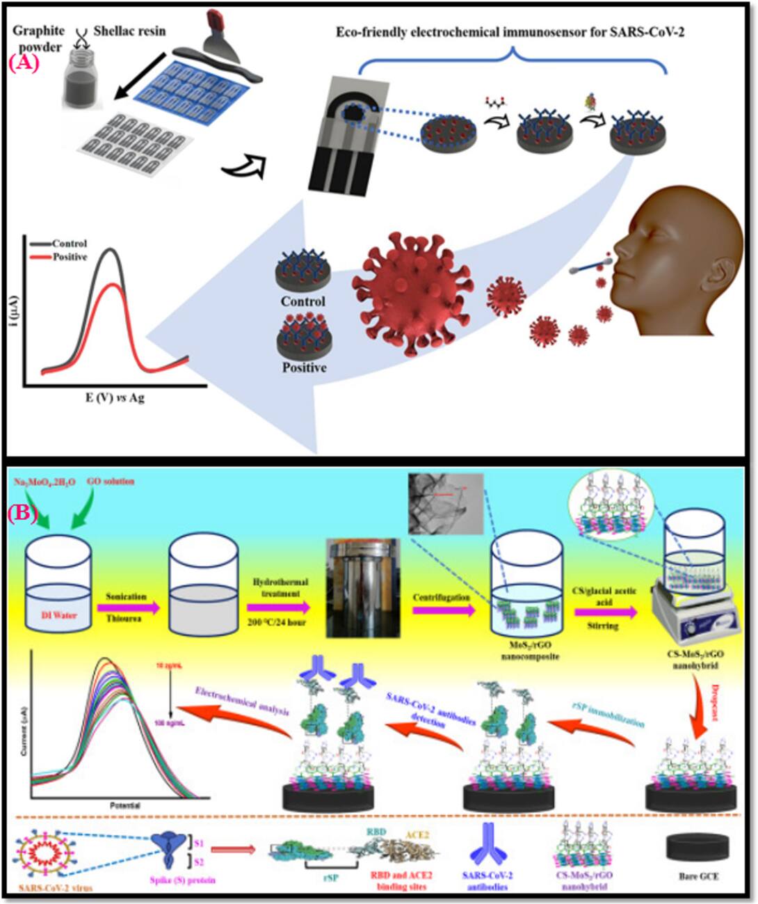 Unveiling Transformation from Electrochemical Biosensors to Commercial  Point-of-Care Devices: A Case Study for SARS-CoV-2 - IOPscience
