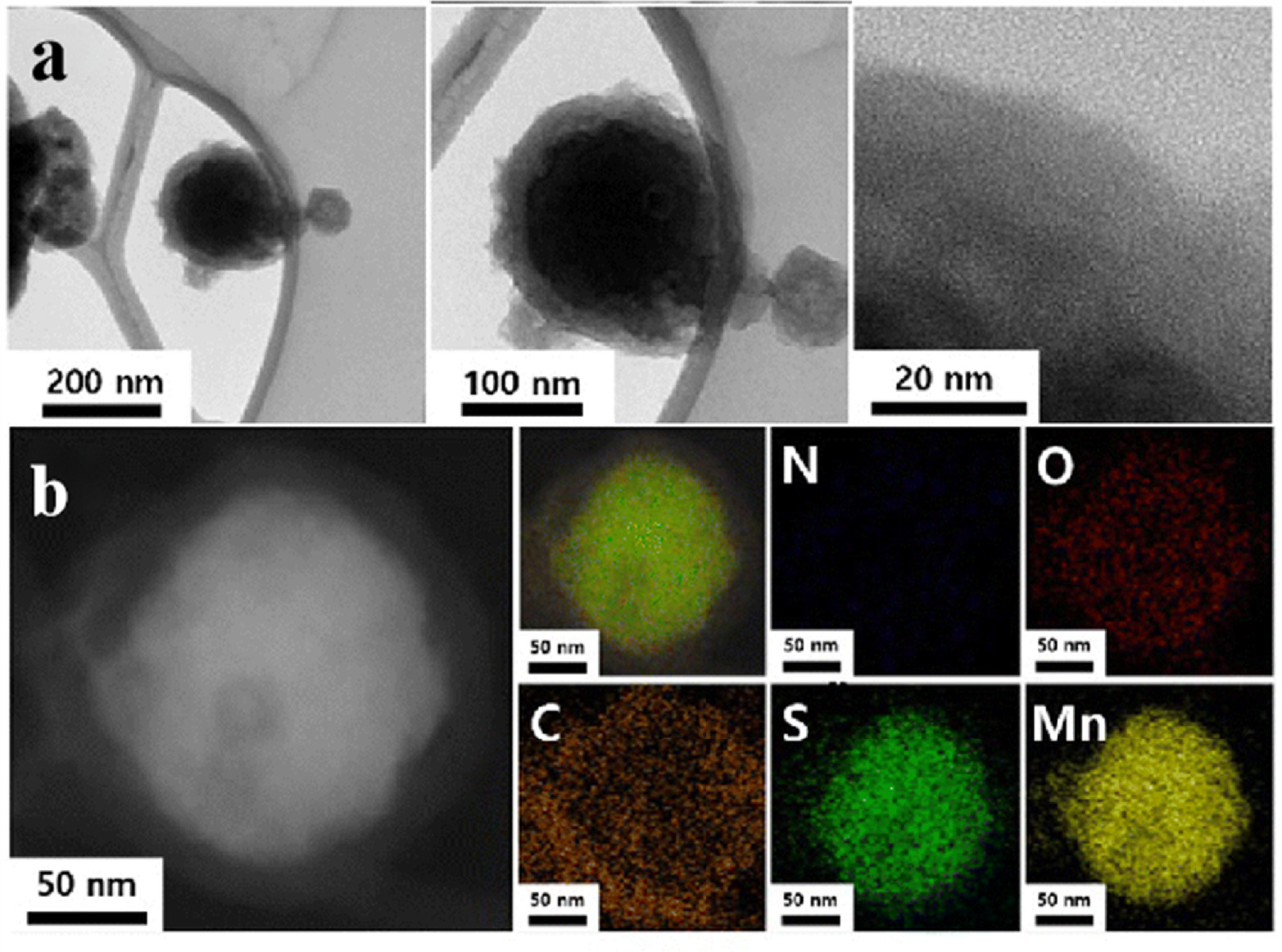 Development and Applications of Polymer Electrolytes in Flexible Solid ...