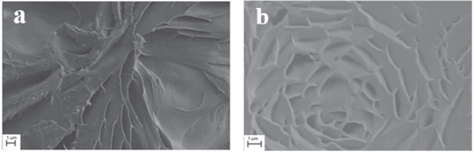 Development and Applications of Polymer Electrolytes in Flexible Solid ...