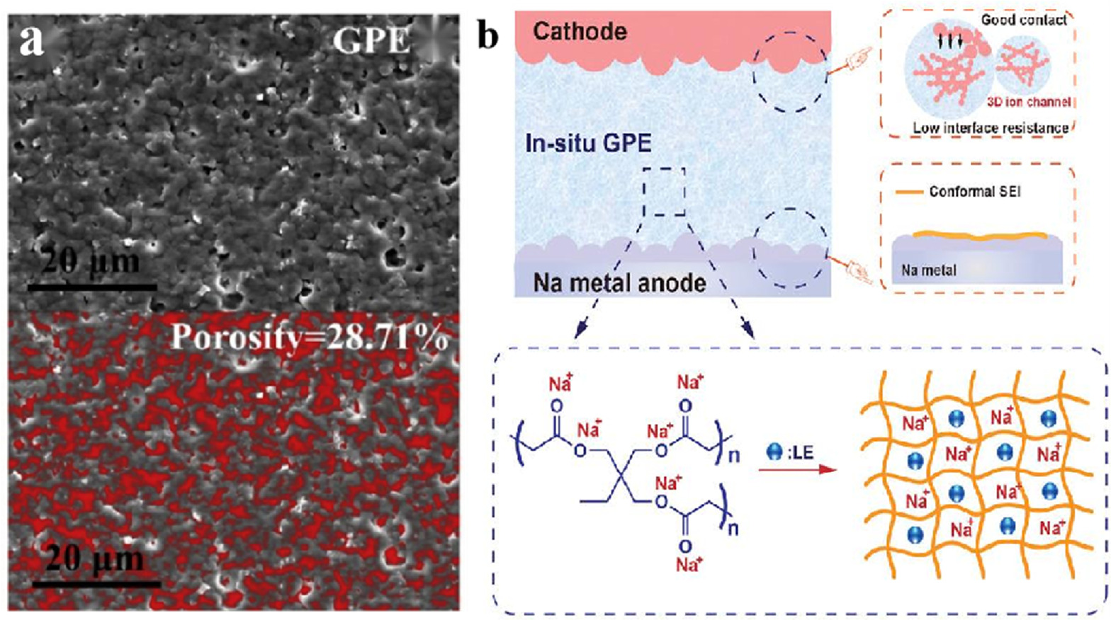 Development and Applications of Polymer Electrolytes in Flexible Solid ...
