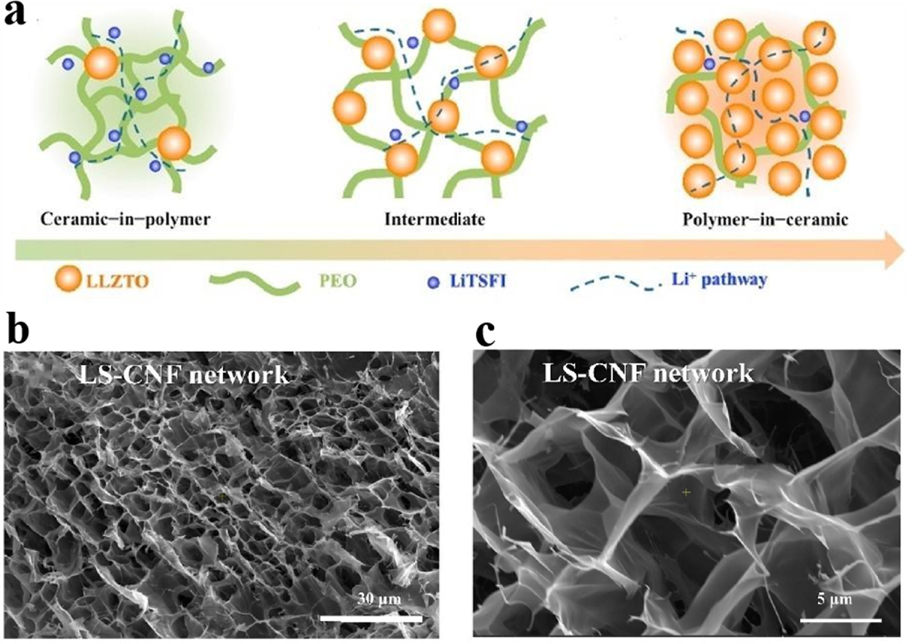 Development and Applications of Polymer Electrolytes in Flexible Solid ...