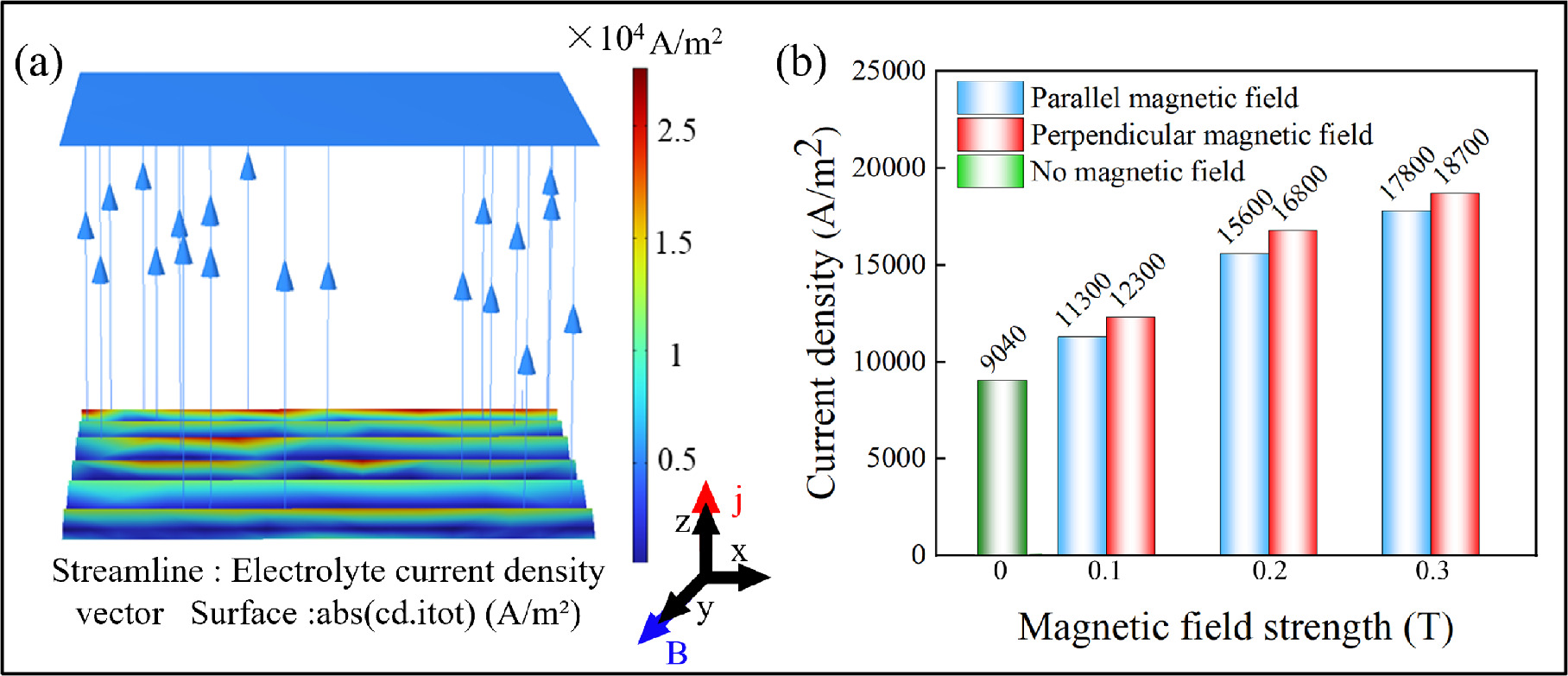 Electrochemical Anodic Dissolution Characteristics and Polishing ...