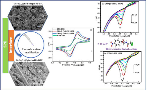 High-Efficiency Electrochemical Sensor for Chloramphenicol Detection ...