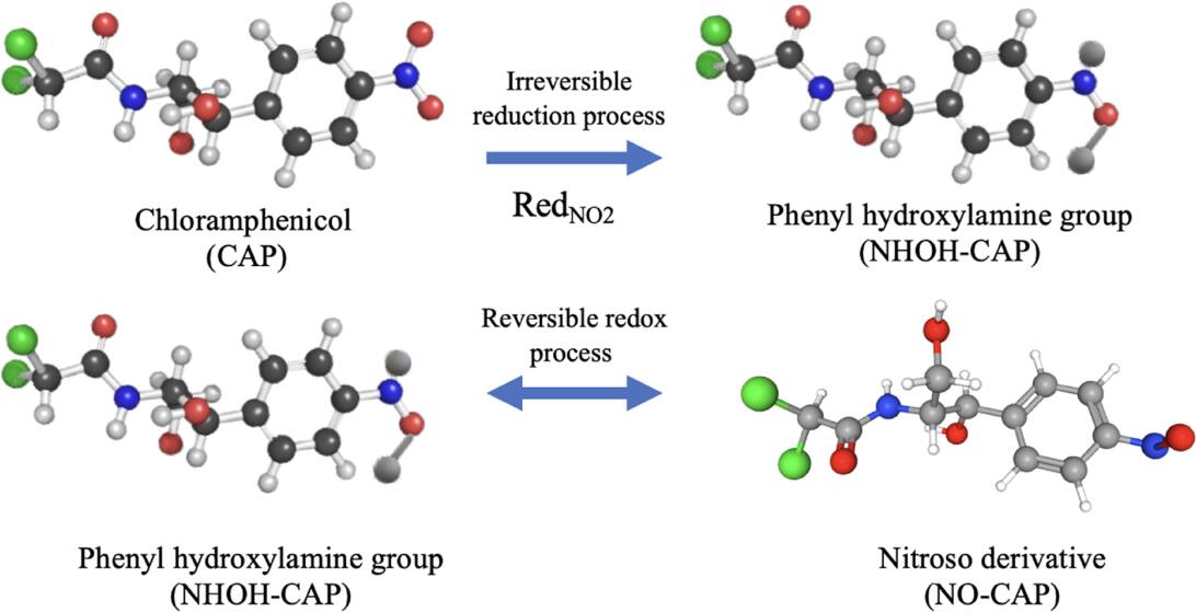 High-Efficiency Electrochemical Sensor for Chloramphenicol Detection ...