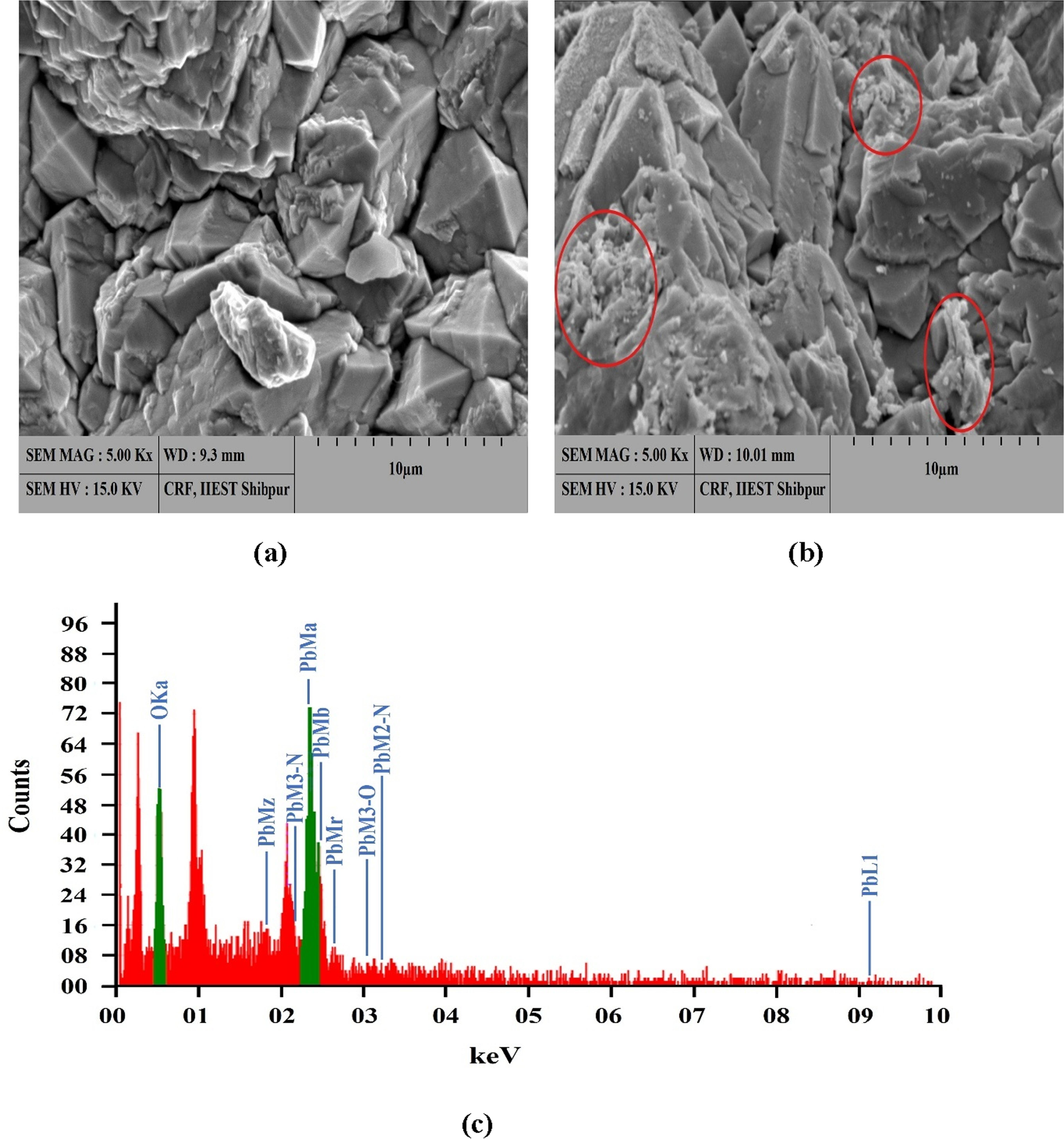 Anodizing Pbo2 Electro-Advanced Oxidation of Reactive Orange 84: Effects of PbO2 ...