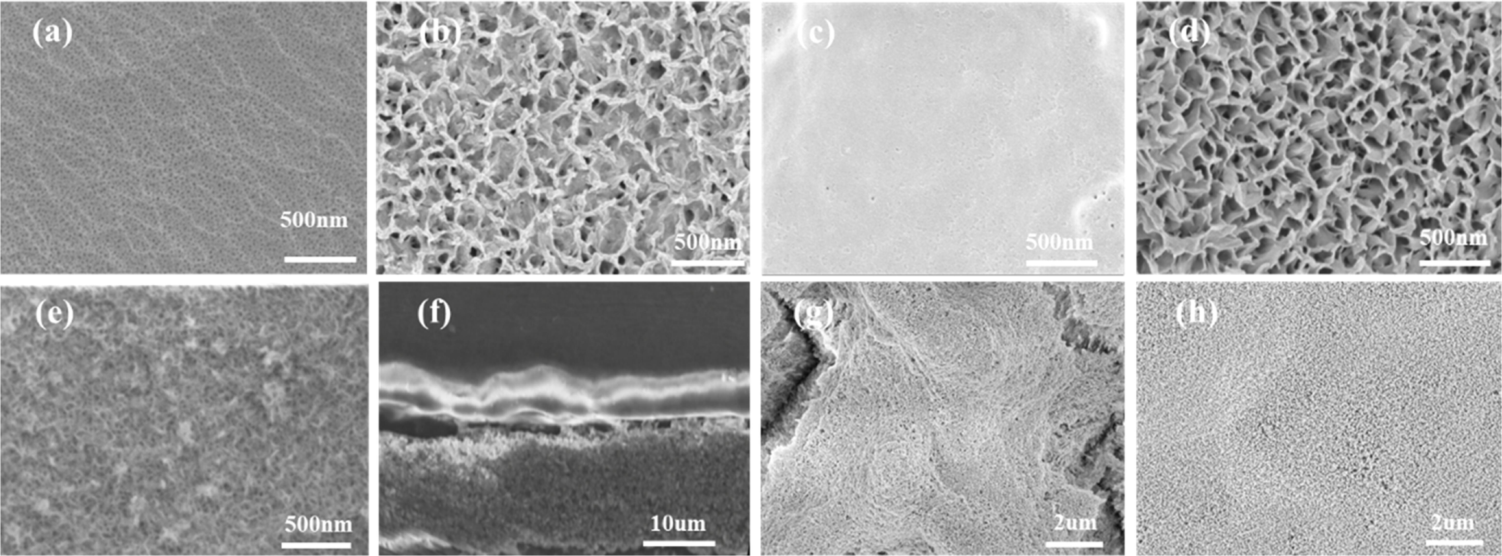 One-Step Color-Fixation and Sealing of Anodic Aluminum Oxide via ...