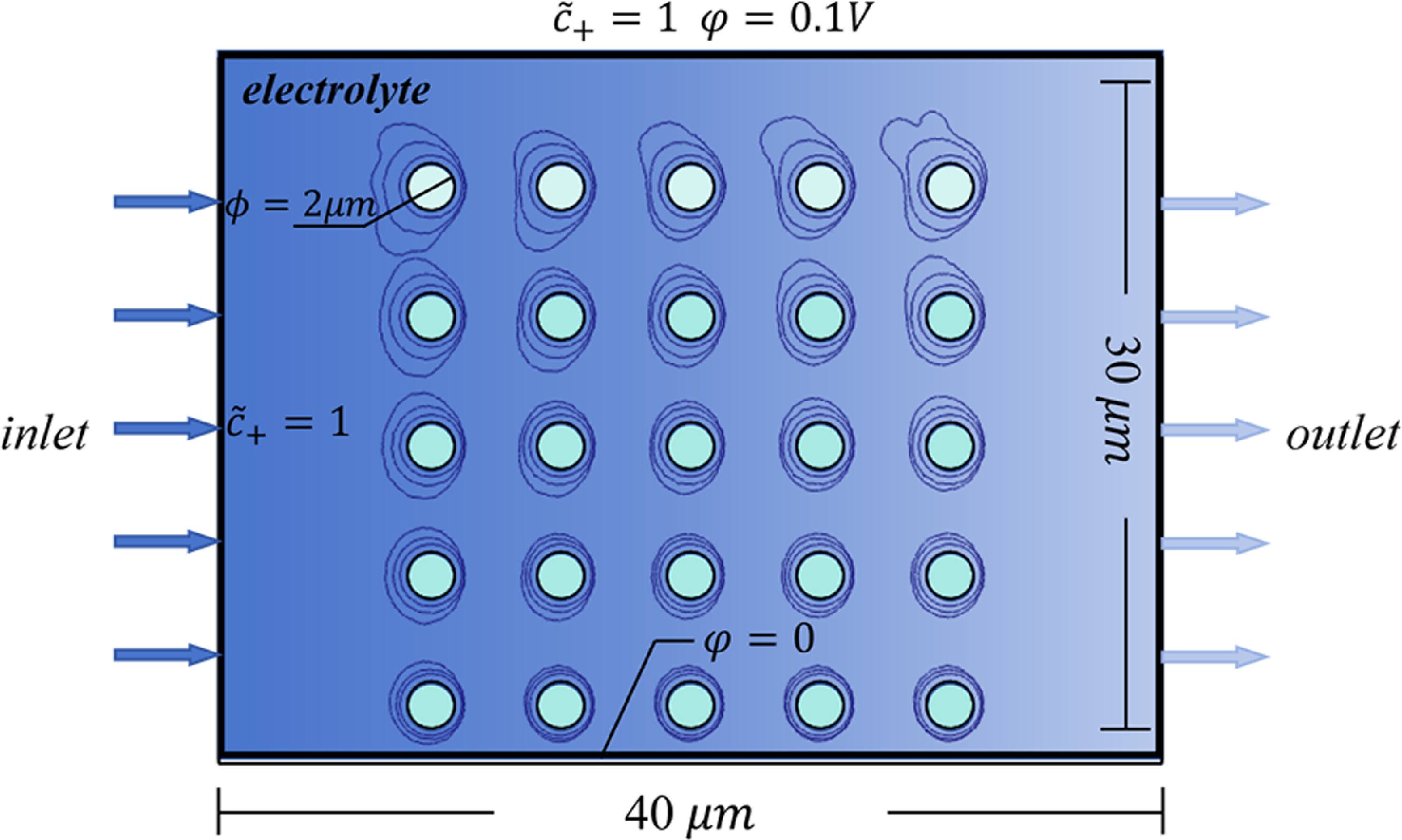 Phase-Field Simulation of Dendrite Growth in Porous Electrodes of Zinc ...