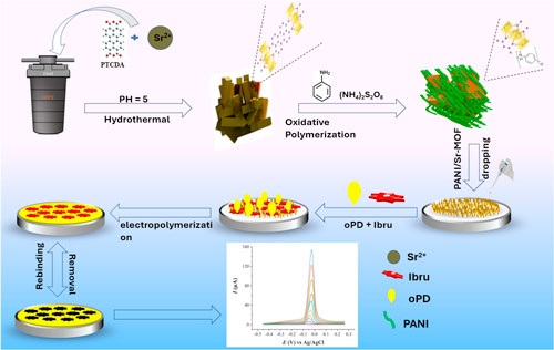 Ultrasensitive and Selective Detection of Ibrutinib Using Molecularly ...