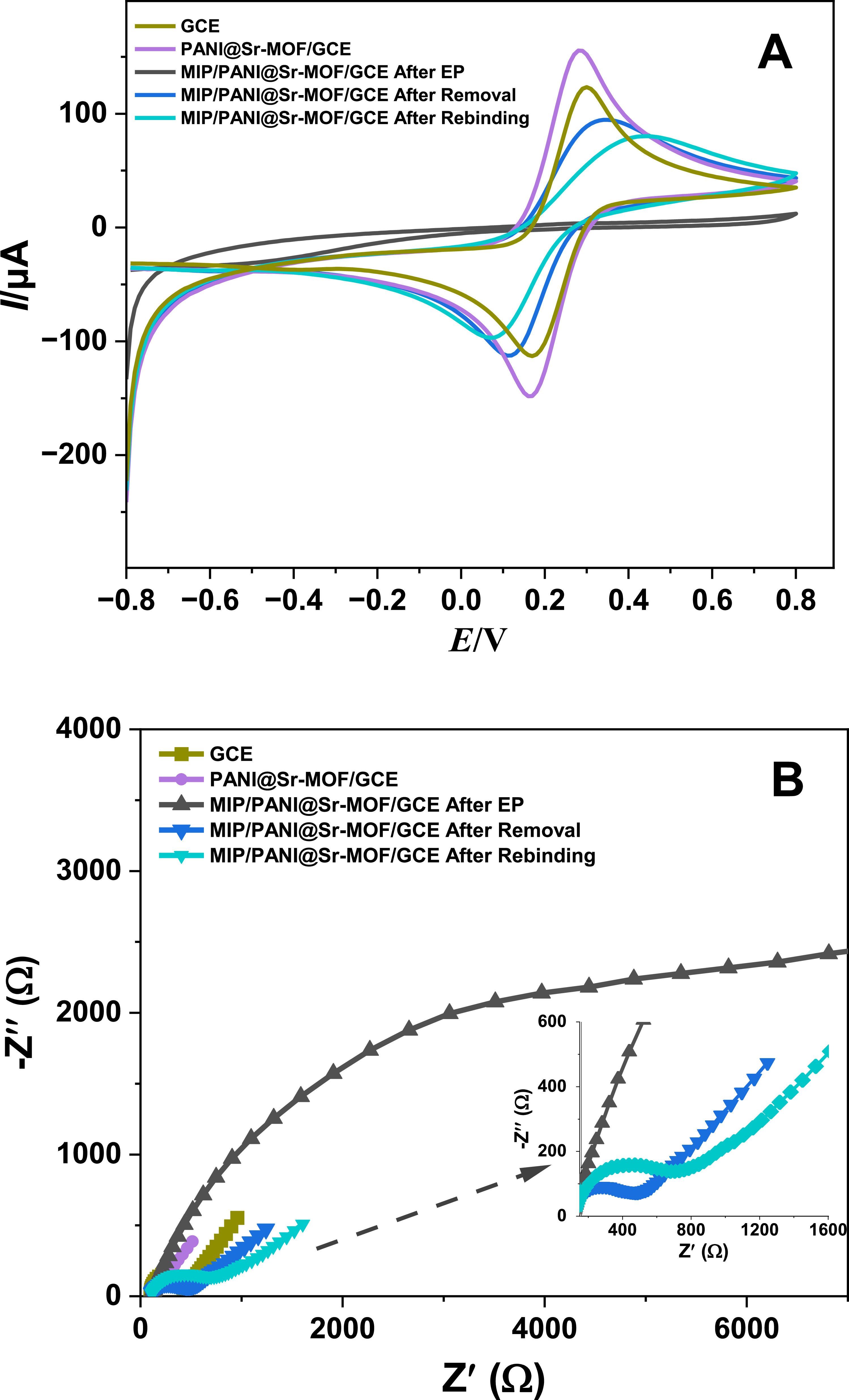 Ultrasensitive and Selective Detection of Ibrutinib Using Molecularly ...