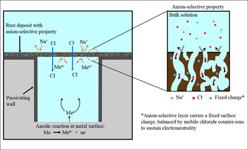 A Model for the Influence of Rust Deposits on the Pitting Corrosion of ...