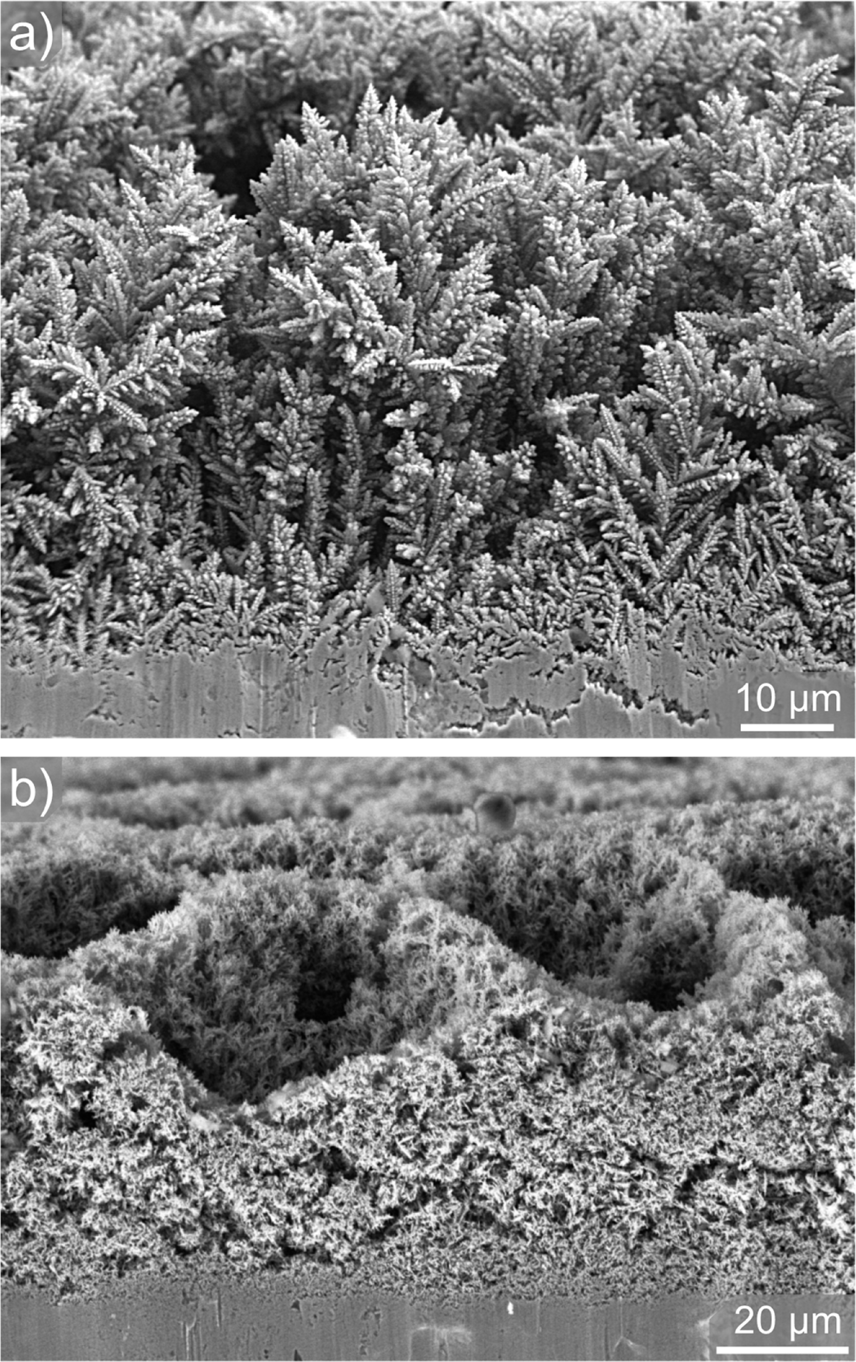 Controlled Nano-Dendritic Structuring of Porous Copper Films via Pulse ...