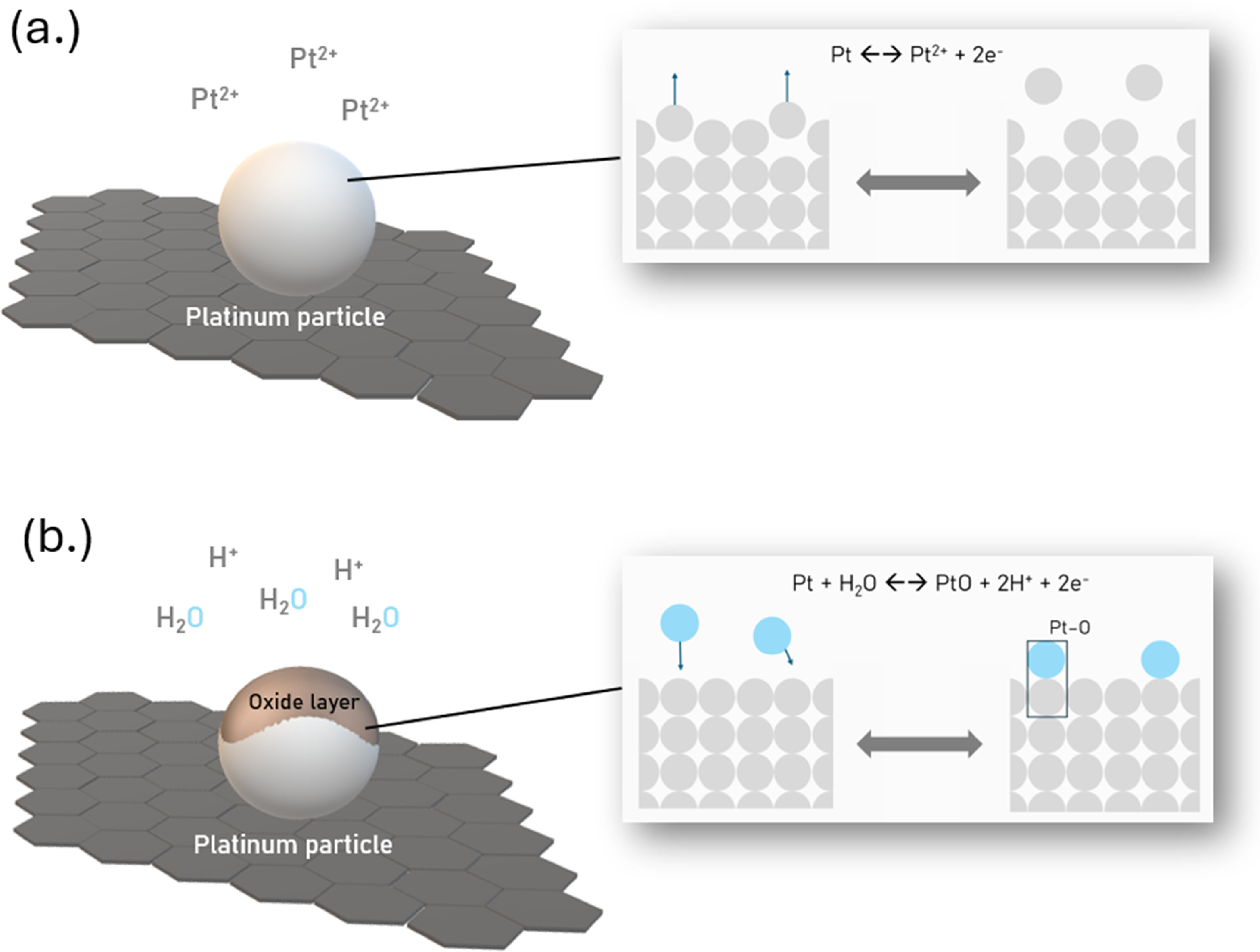 Physics-Based Modeling of Platinum Catalyst Dissolution and Oxidation ...