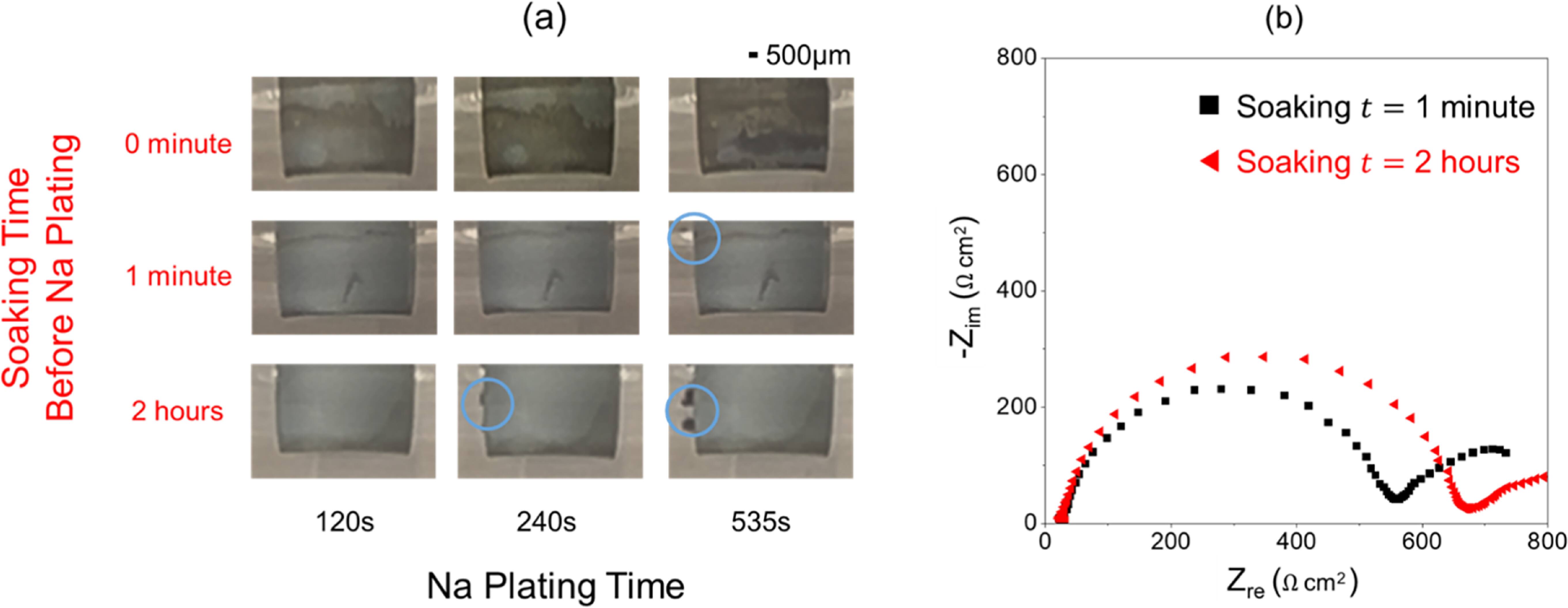 Some Factors Affecting Onset of Dendritic Morphology in Sodium ...