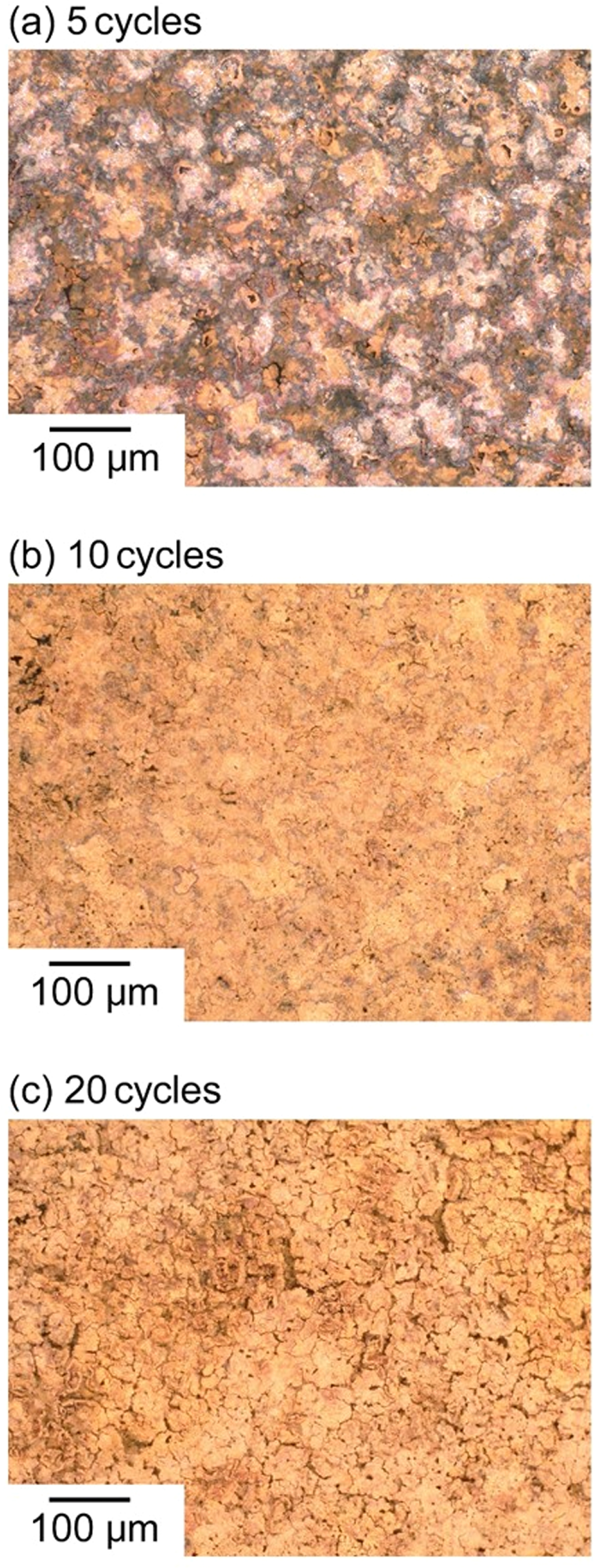 Key Role of Magnetite in Rust Layer of Carbon Steel for Cathodic ...