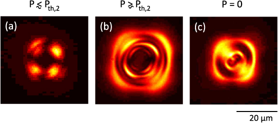 Arbitrary vortex arrays realized from optical winding of frustrated ...
