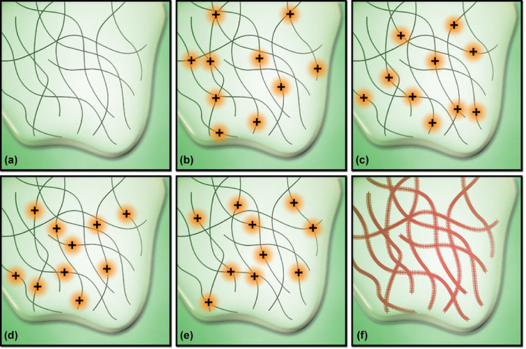 Single molecule localization microscopy for superresolution - IOPscience