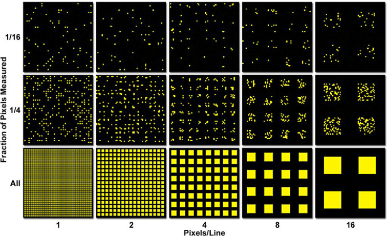 Single molecule localization microscopy for superresolution - IOPscience