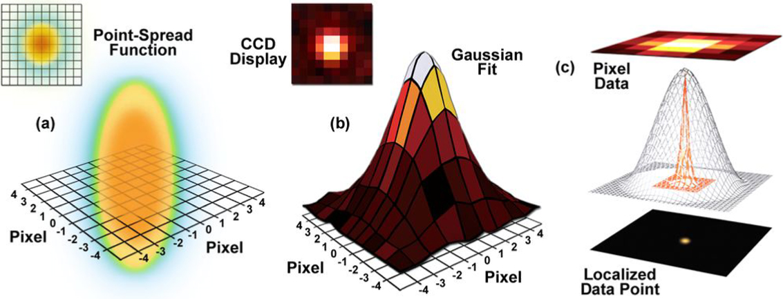 Single molecule localization microscopy for superresolution - IOPscience