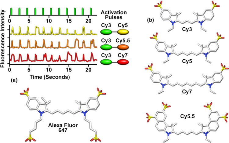 Single molecule localization microscopy for superresolution - IOPscience