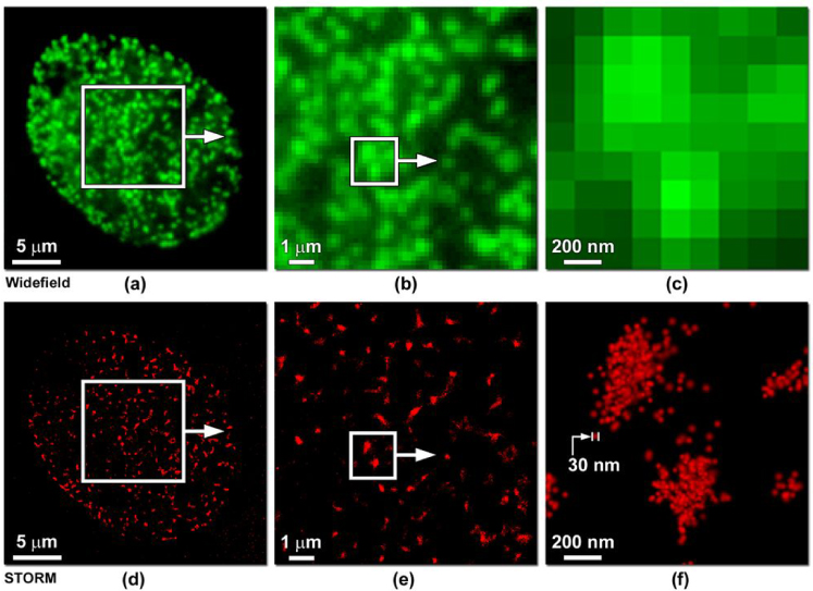Single molecule localization microscopy for superresolution - IOPscience