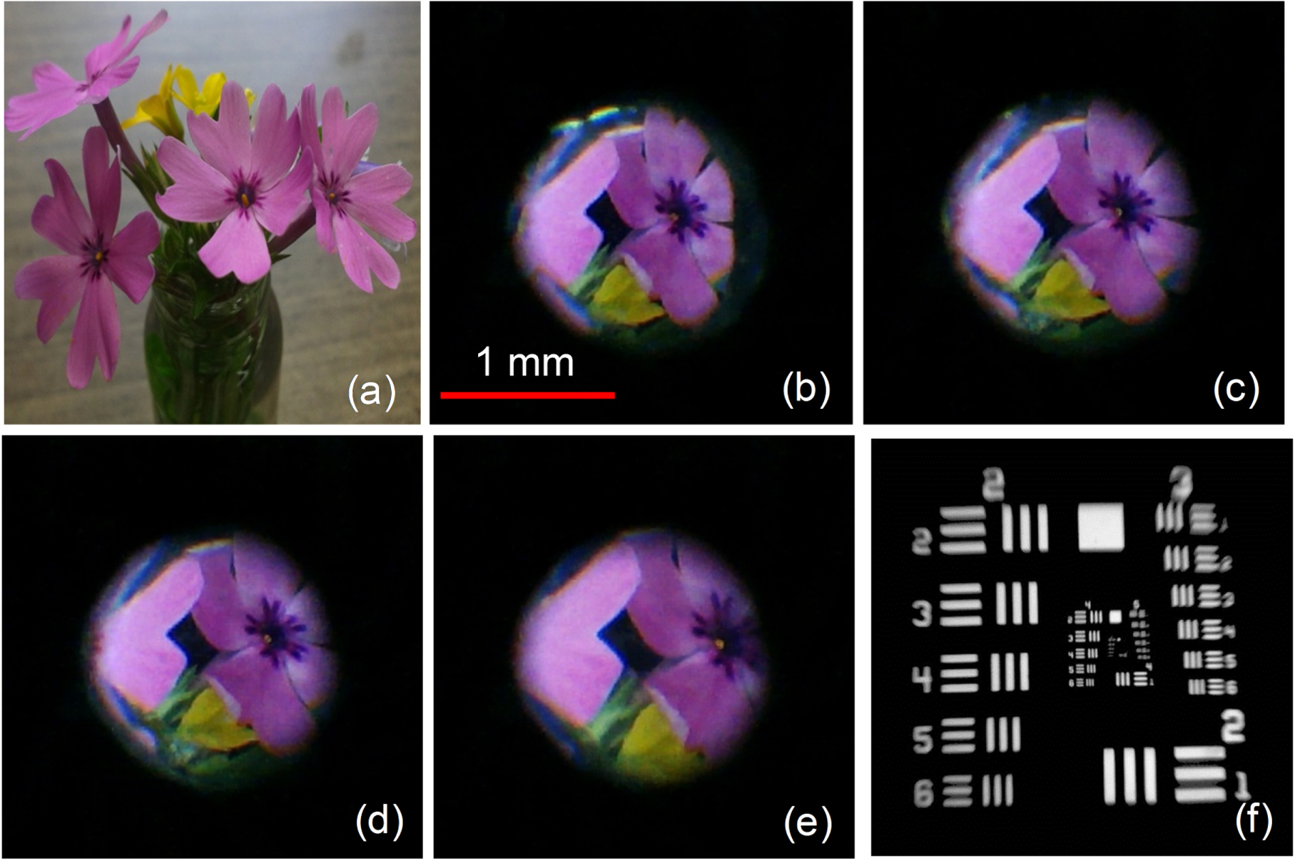 An adaptive liquid lens with radial interdigitated electrode - IOPscience