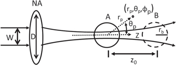 Figure 1.