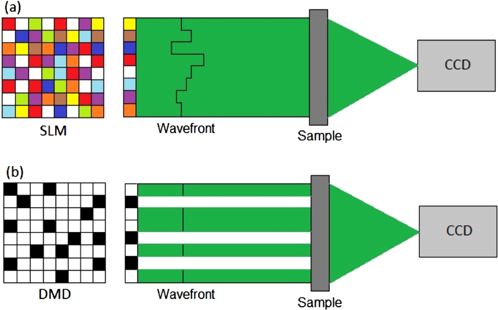 Binary wavefront optimization using a genetic algorithm - IOPscience