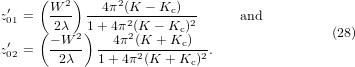 Equation (28)