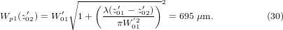 Equation (30)