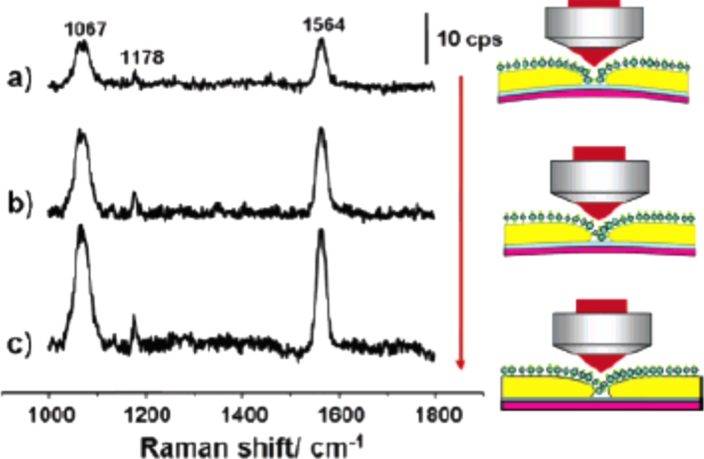 Surface enhanced Raman scattering of molecules in metallic nanogaps ...