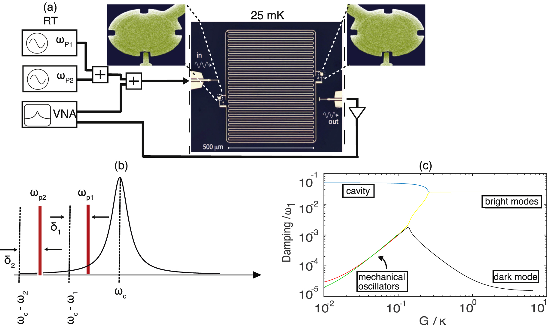 Dynamically creating tripartite resonance and dark modes in a multimode ...