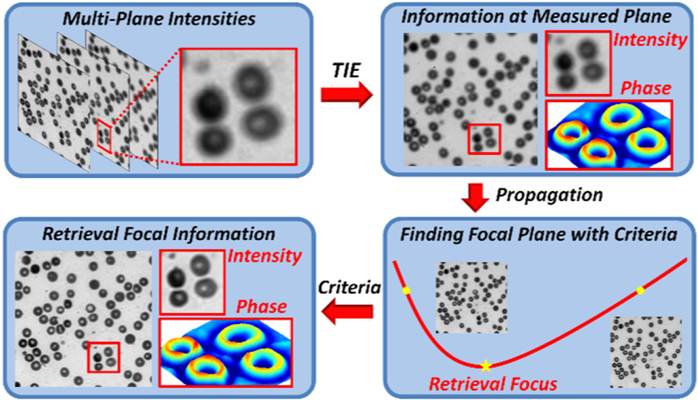 In-focus quantitative intensity and phase imaging with the numerical ...