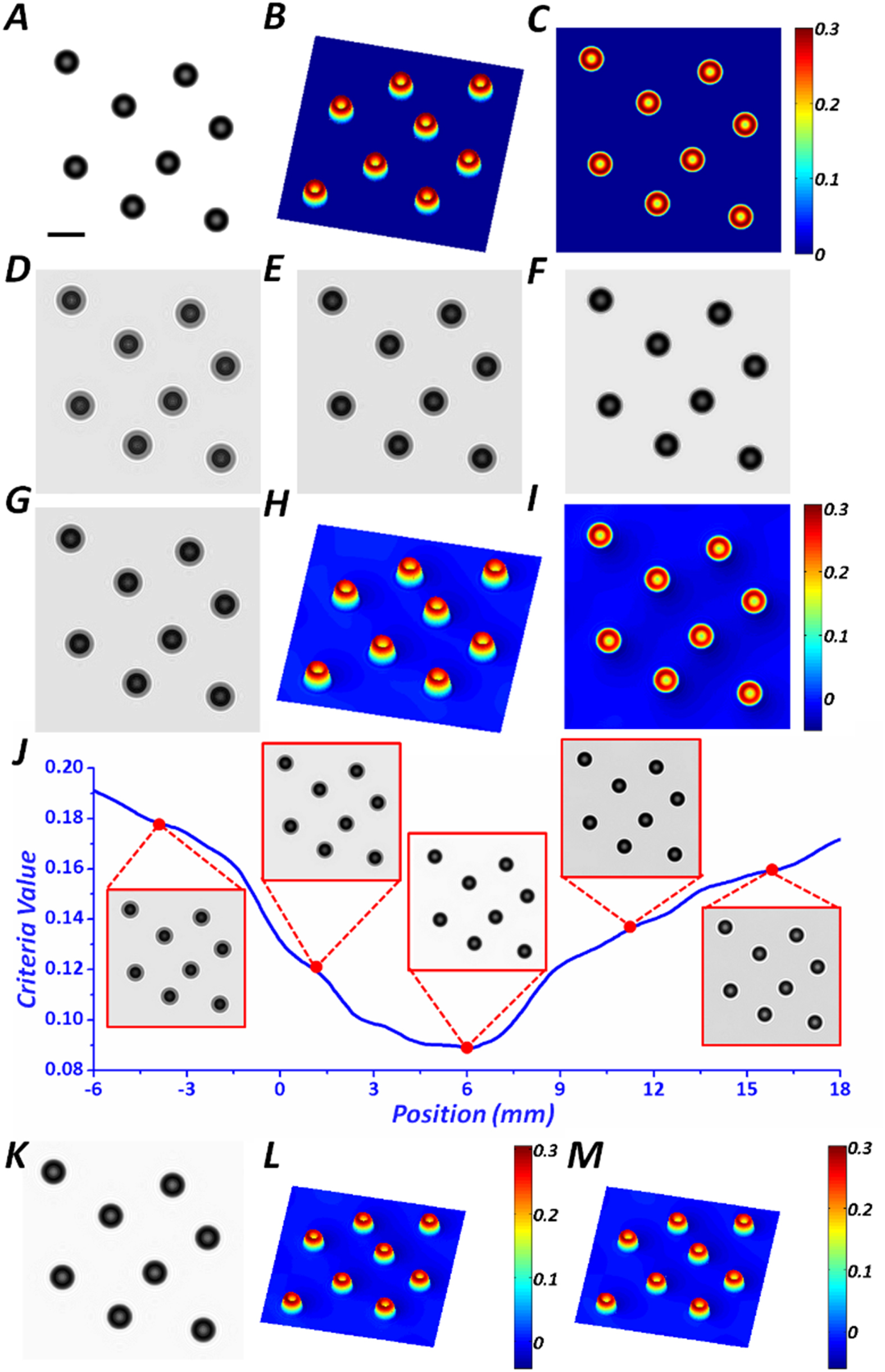 In-focus quantitative intensity and phase imaging with the numerical ...