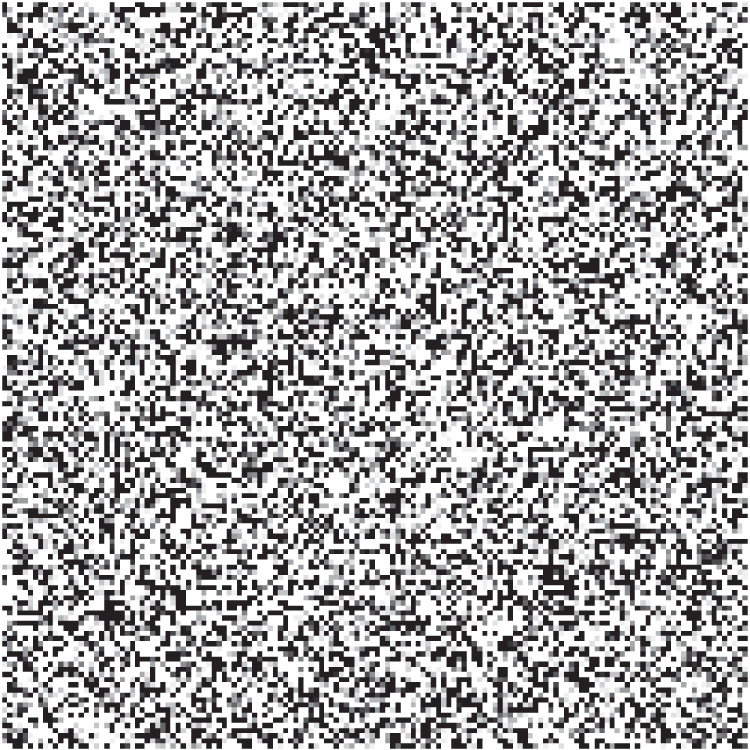 Bioerial Key Securing information using optically generated biometric keys - IOPscience