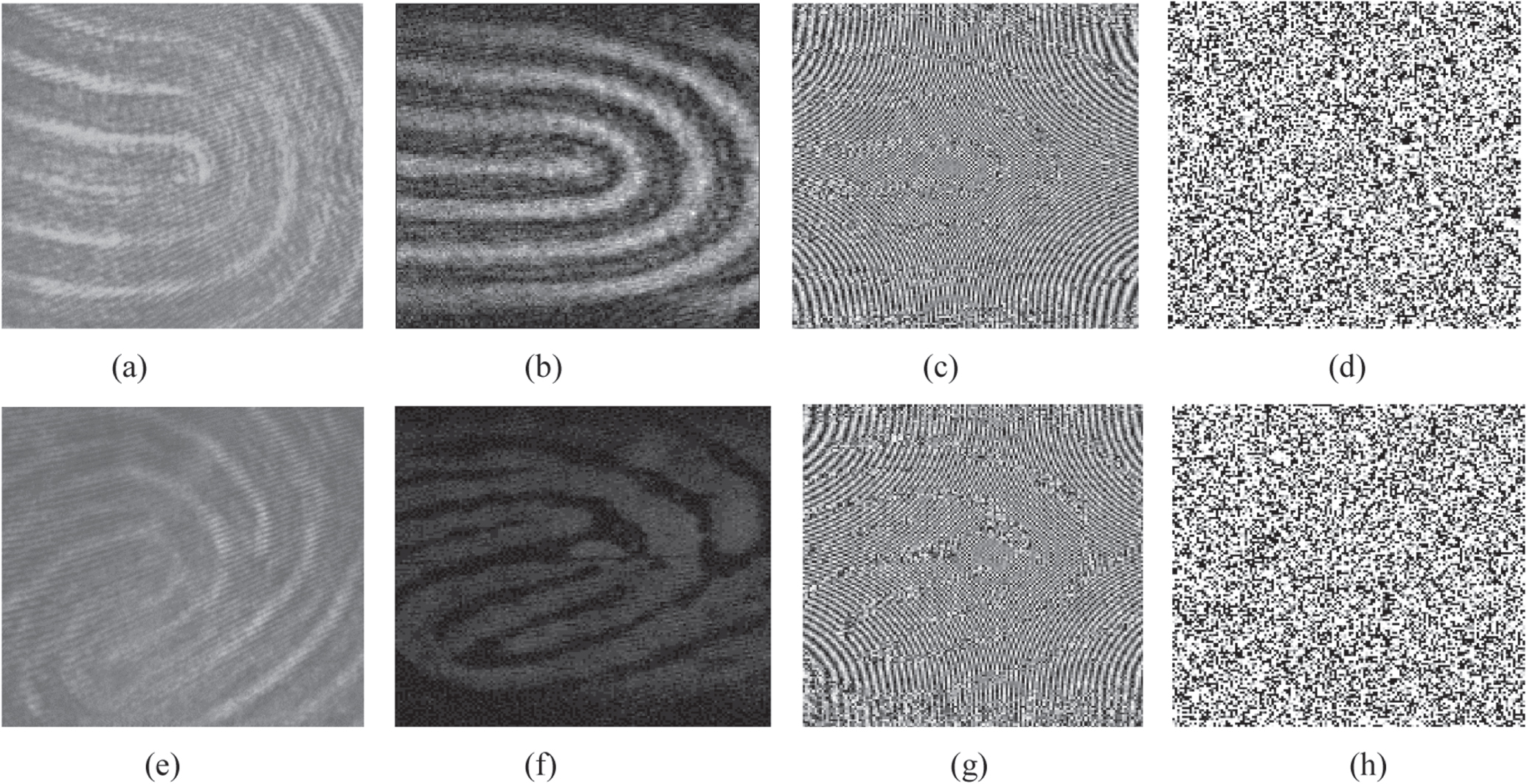 Bioerial Key Securing information using optically generated biometric keys - IOPscience