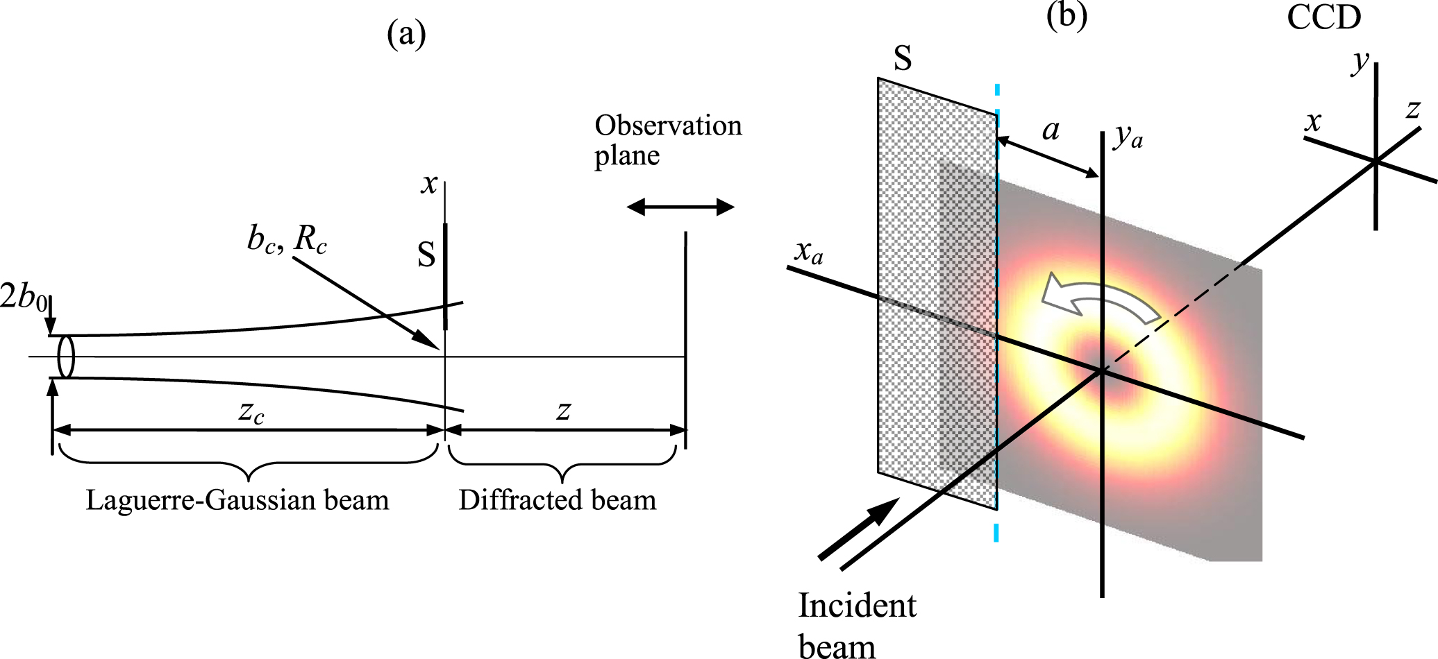 Displacements and evolution of optical vortices in edge-diffracted ...
