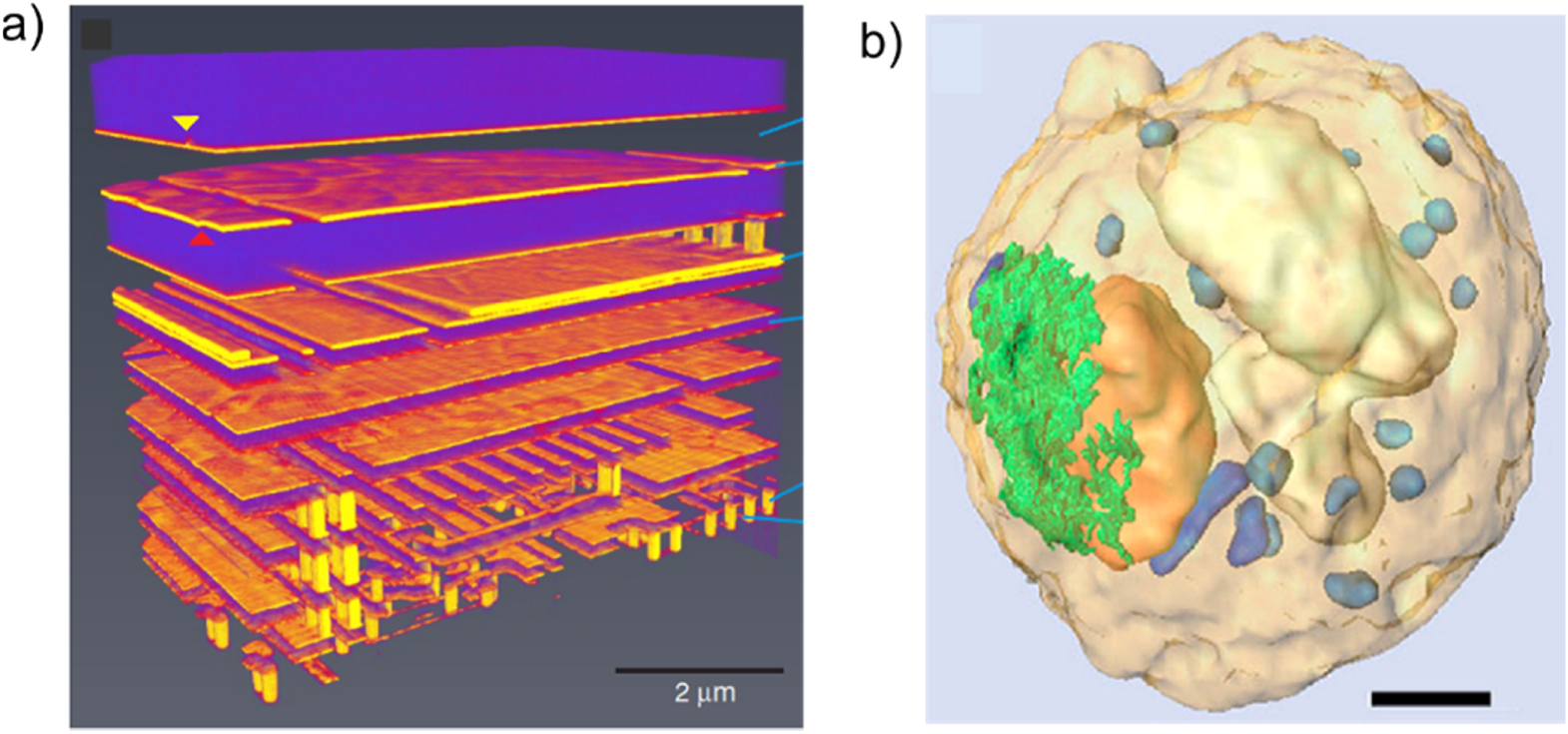 Table-top nanoscale coherent imaging with XUV light - IOPscience