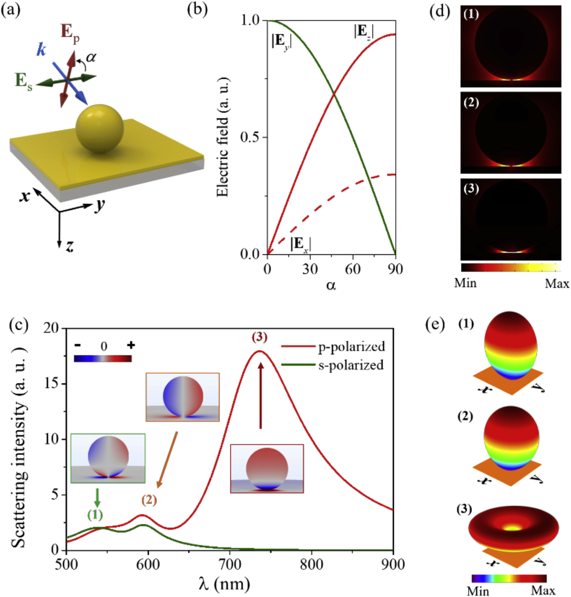 Polarization-resolved optical response of plasmonic particle-on-film ...