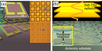 HUNTER x HUNTER -ヒソカ- 11個セット 1/12 Ferrari SF90 XX Stradale (Matte Black) Car Model