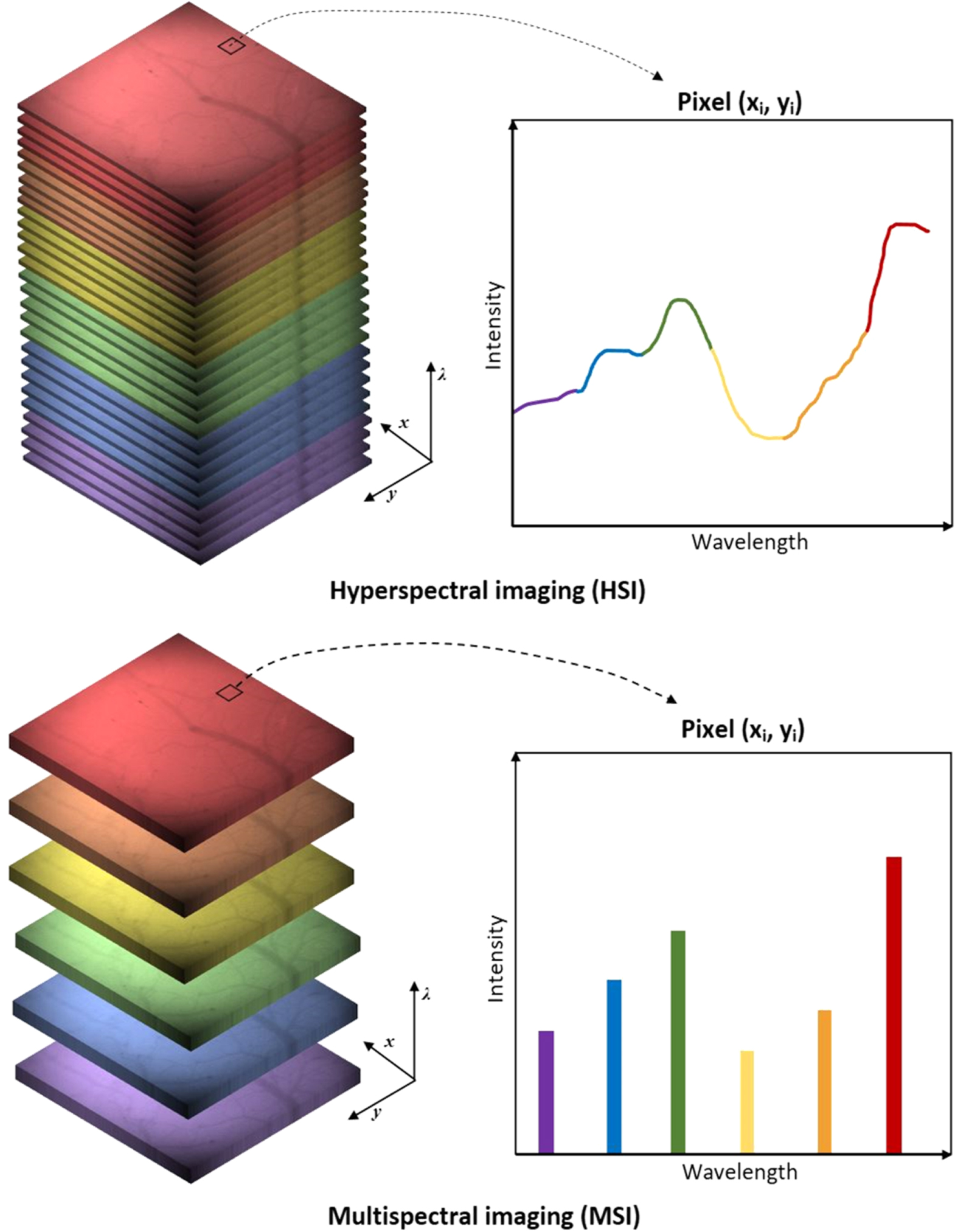 Hyperspectral imaging solutions for brain tissue metabolic and ...