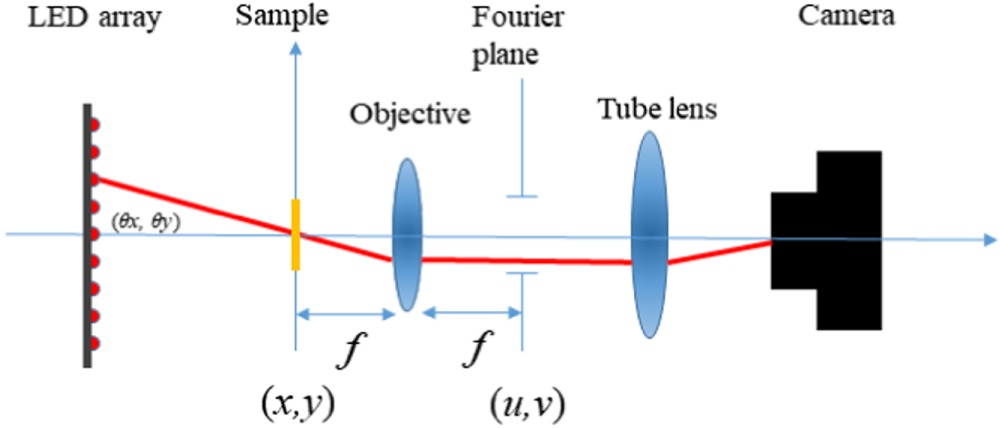 Analysis of Fourier ptychographic microscopy with half of the captured ...