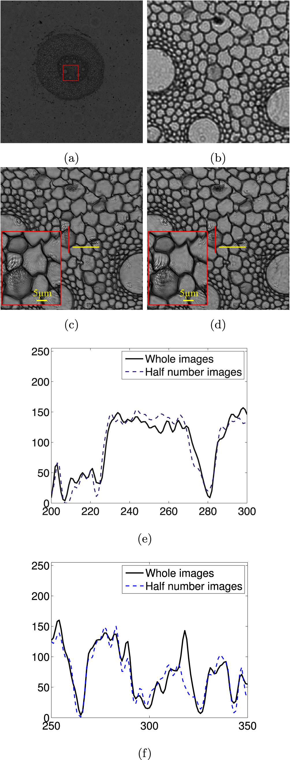 Analysis of Fourier ptychographic microscopy with half of the captured ...