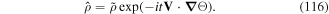 Equation (116)