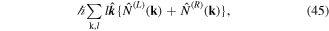 Equation (45)